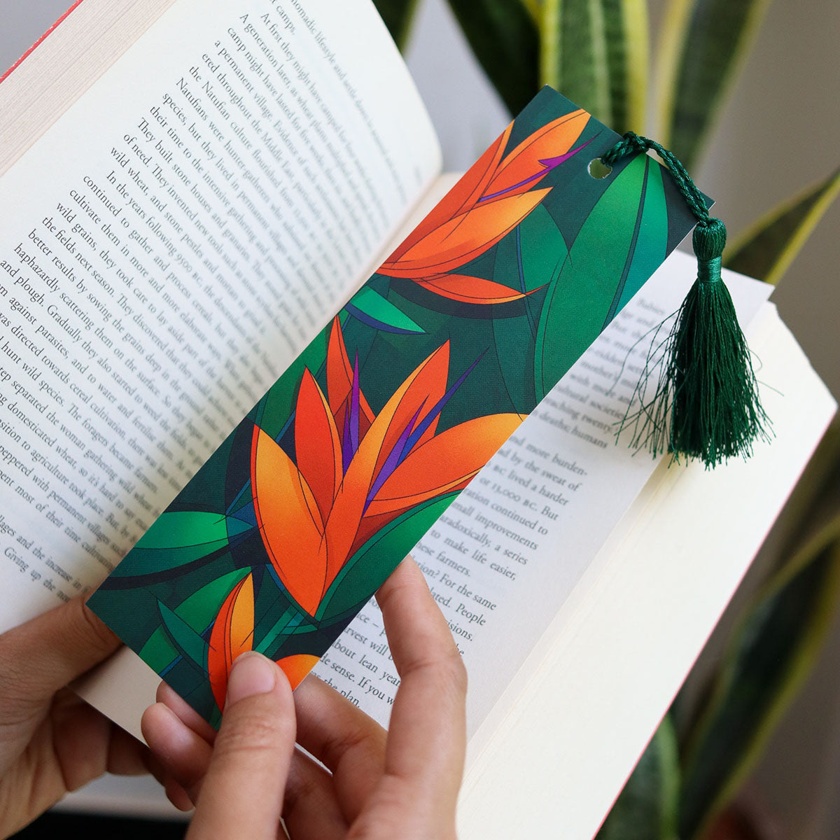 Bird of Paradise - Bookmarks (Set of 5)