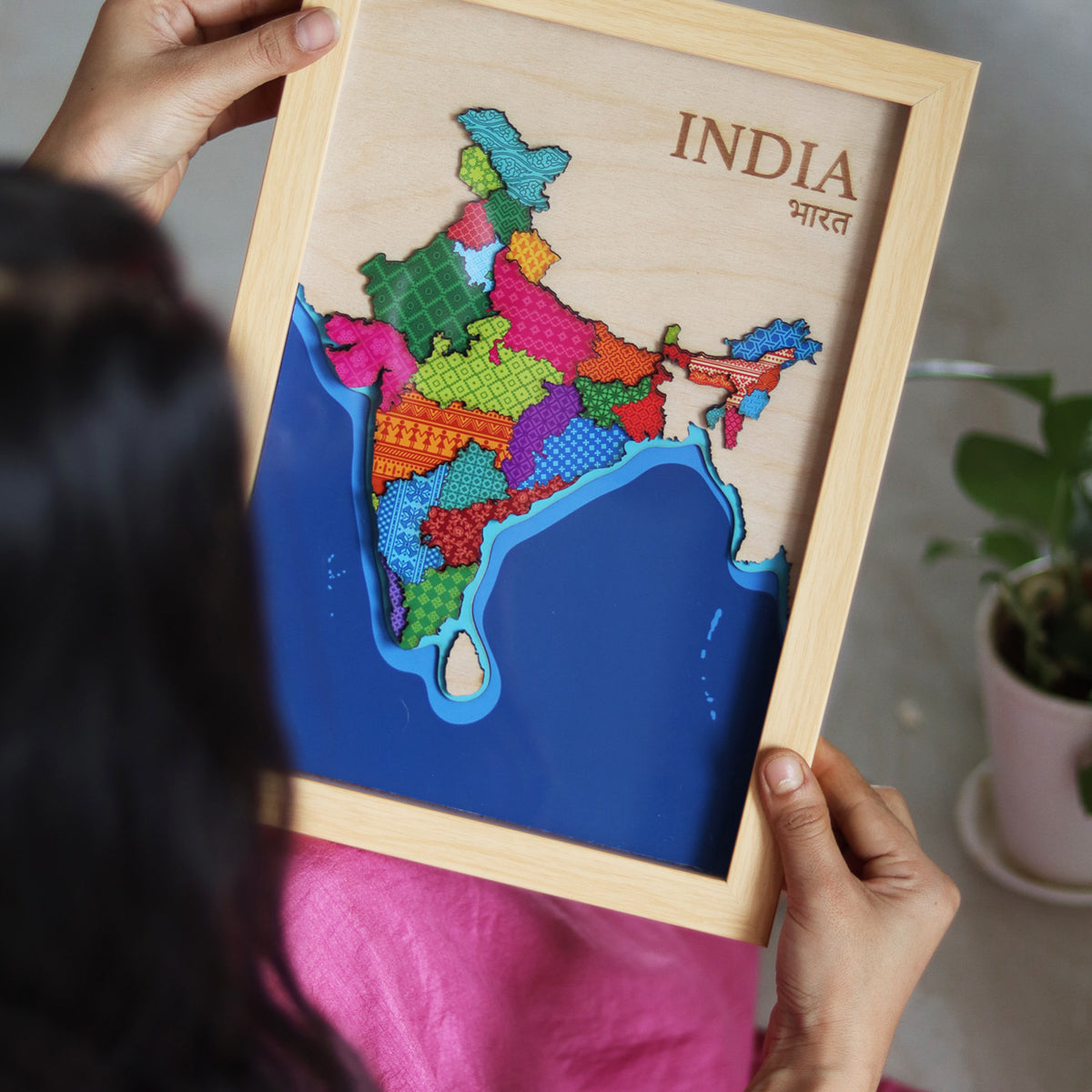 The India Map
